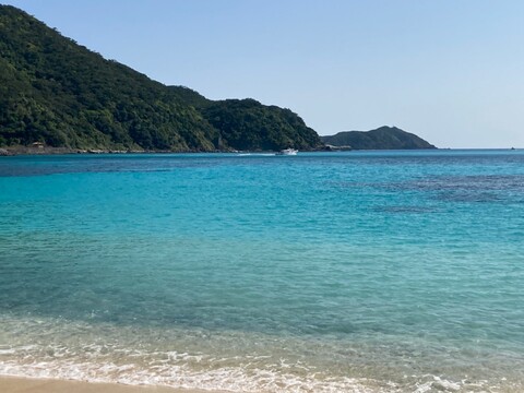 ３月の沖縄本島と渡嘉敷島旅行２泊３日全行程とおすすめしたい場所と店６つ 注意点とｎｇな店と場所３つ 福ふくろう